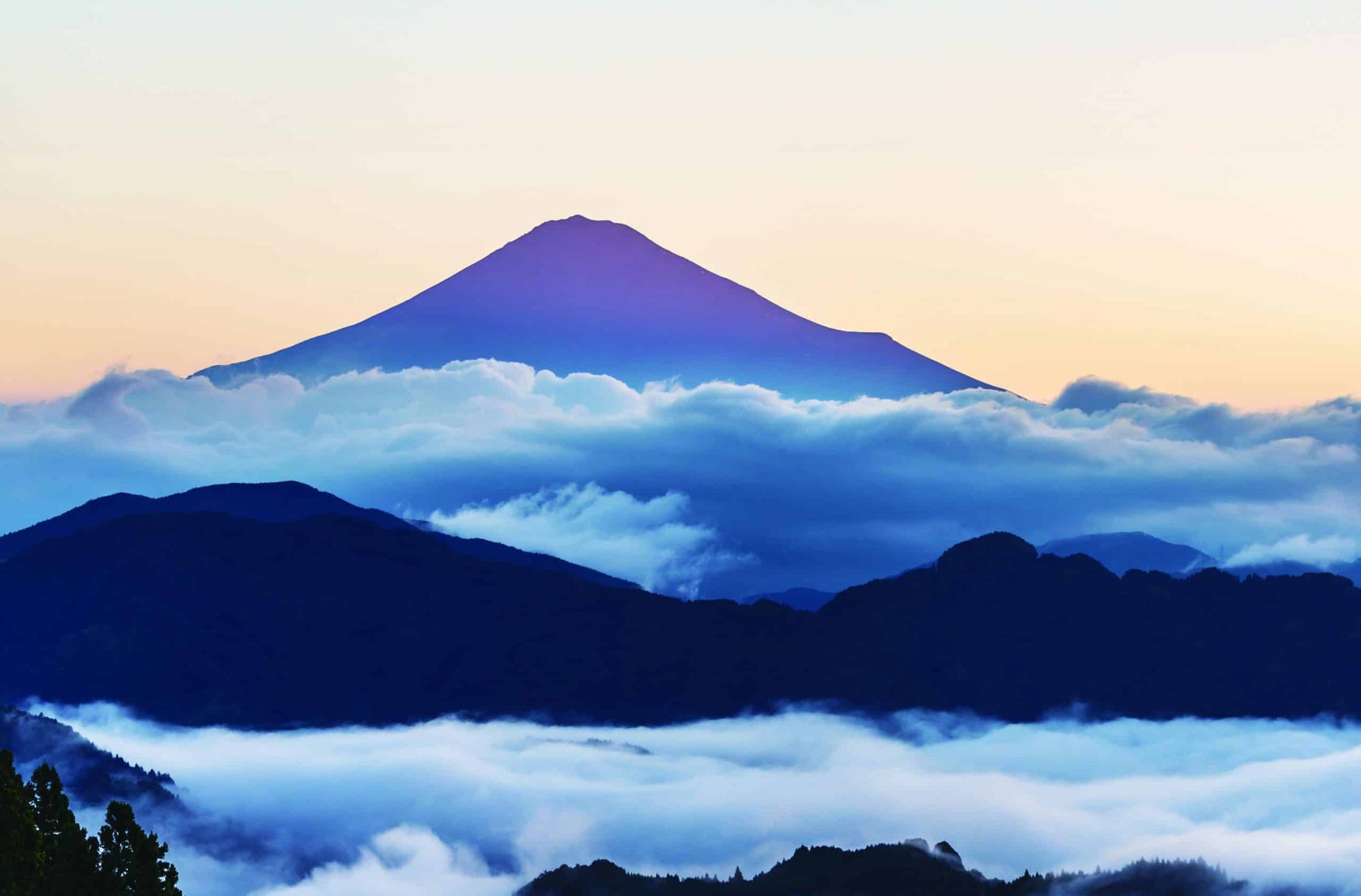 Platin - #3776 CENTURY Fuji Serie Fuji Unkei „Kasumi“ Füllfederhalter